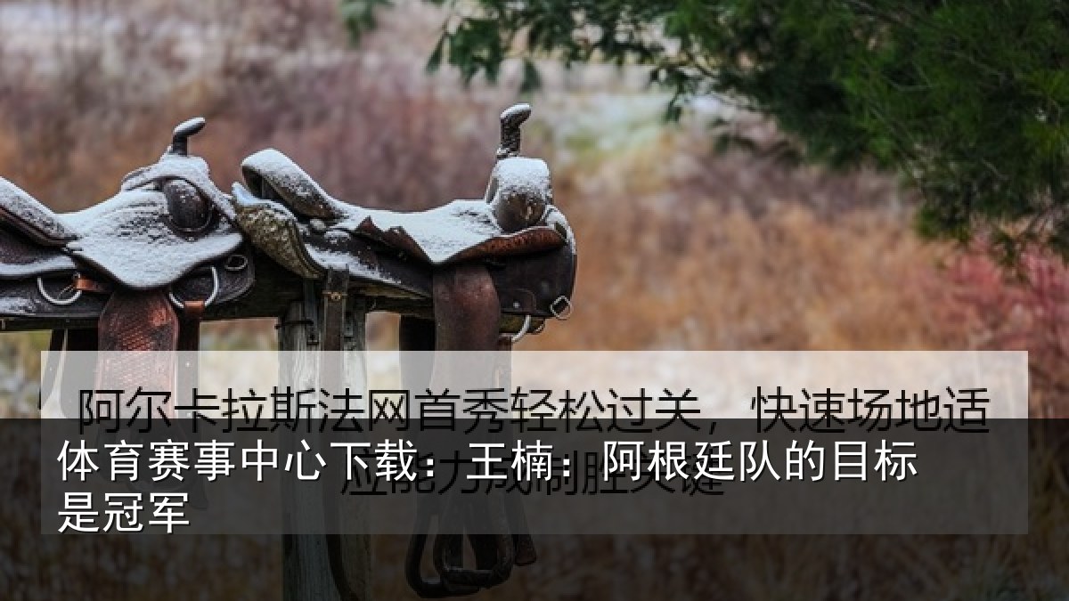 体育赛事中心下载:王楠:阿根廷队的目标是冠军