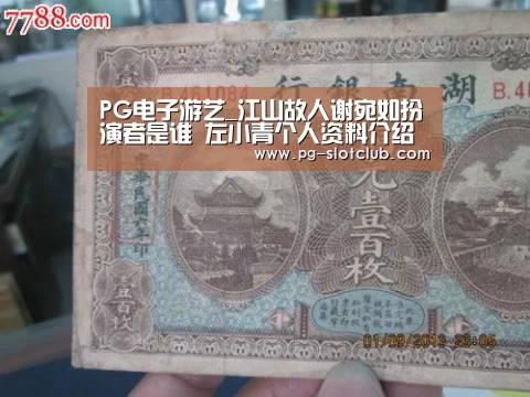 PG麻将网页版入口