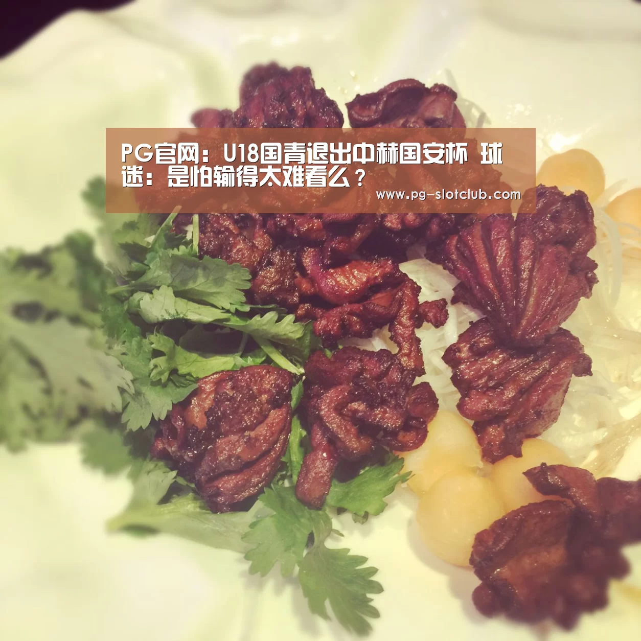 PG官网:U18国青退出中赫国安杯 球迷:是怕输得太难看么?(图3) PG电子游艺