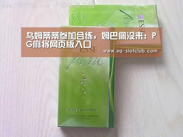 PG麻将网页版入口